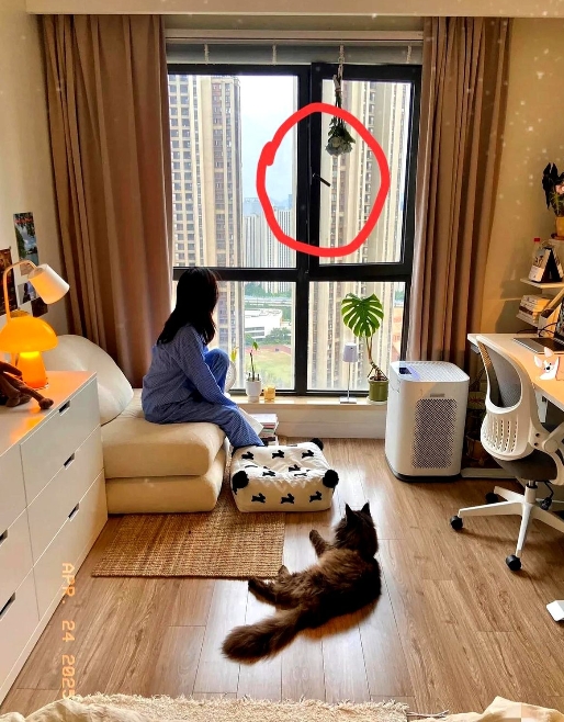笑不活了！

上海一独居女生晚上睡觉时，总感觉有东西压自己身上，于是装了个监控，