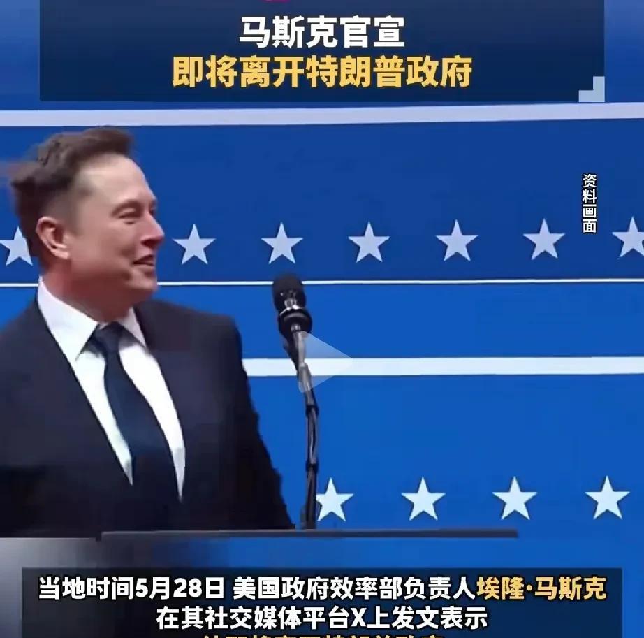 想想，马斯克既然自己无法竞选m国总统，又何必涉身政治？说明他一开始就是个错误，现