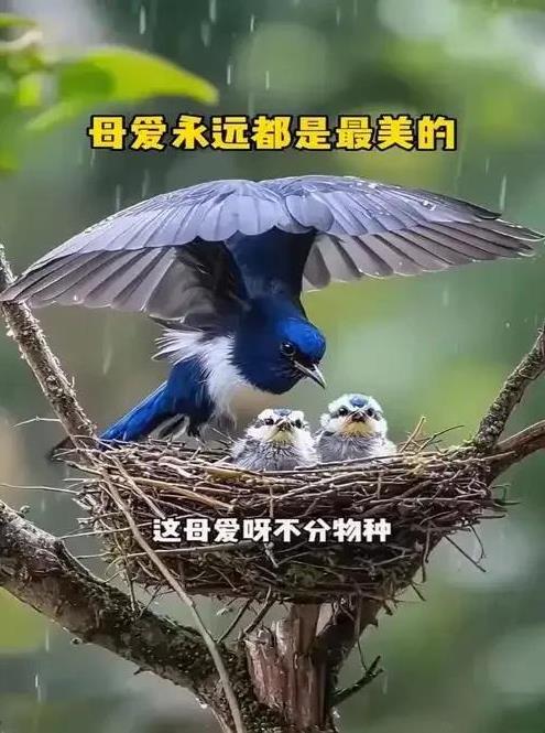 #人到中年，除了钱什么最重要了#
人都到中年没钱还有什么会重要。
无论婚姻，爱情