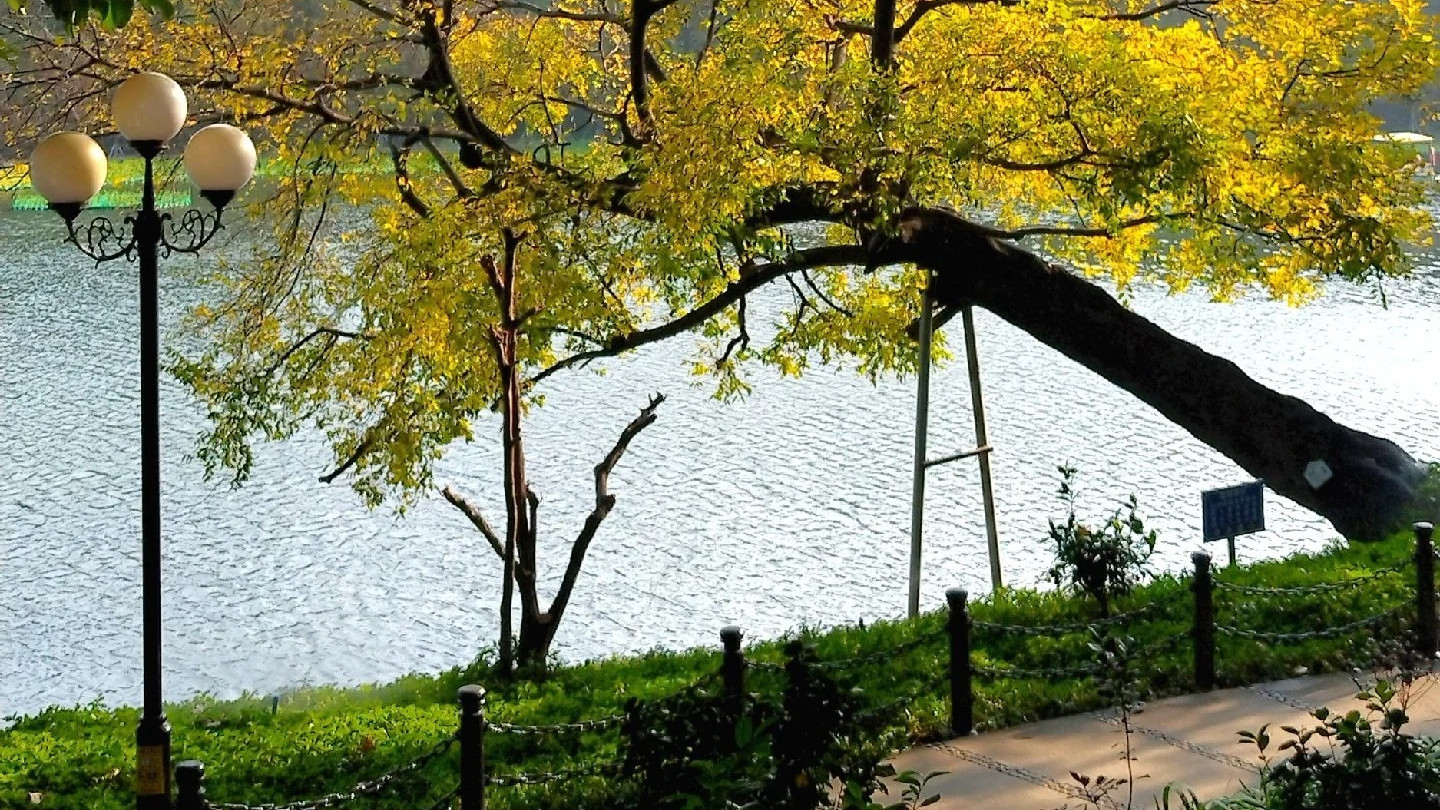 广州东山湖公园📍适合i人周末充电好去处