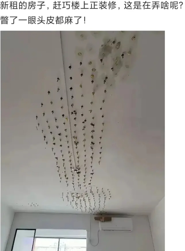 新租的房子，楼上这是在弄啥呢