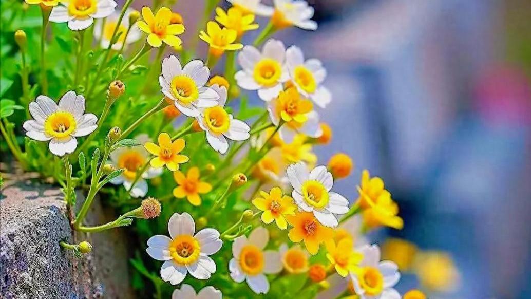 跳出乱局，走出情局，活出格局，终成胜局