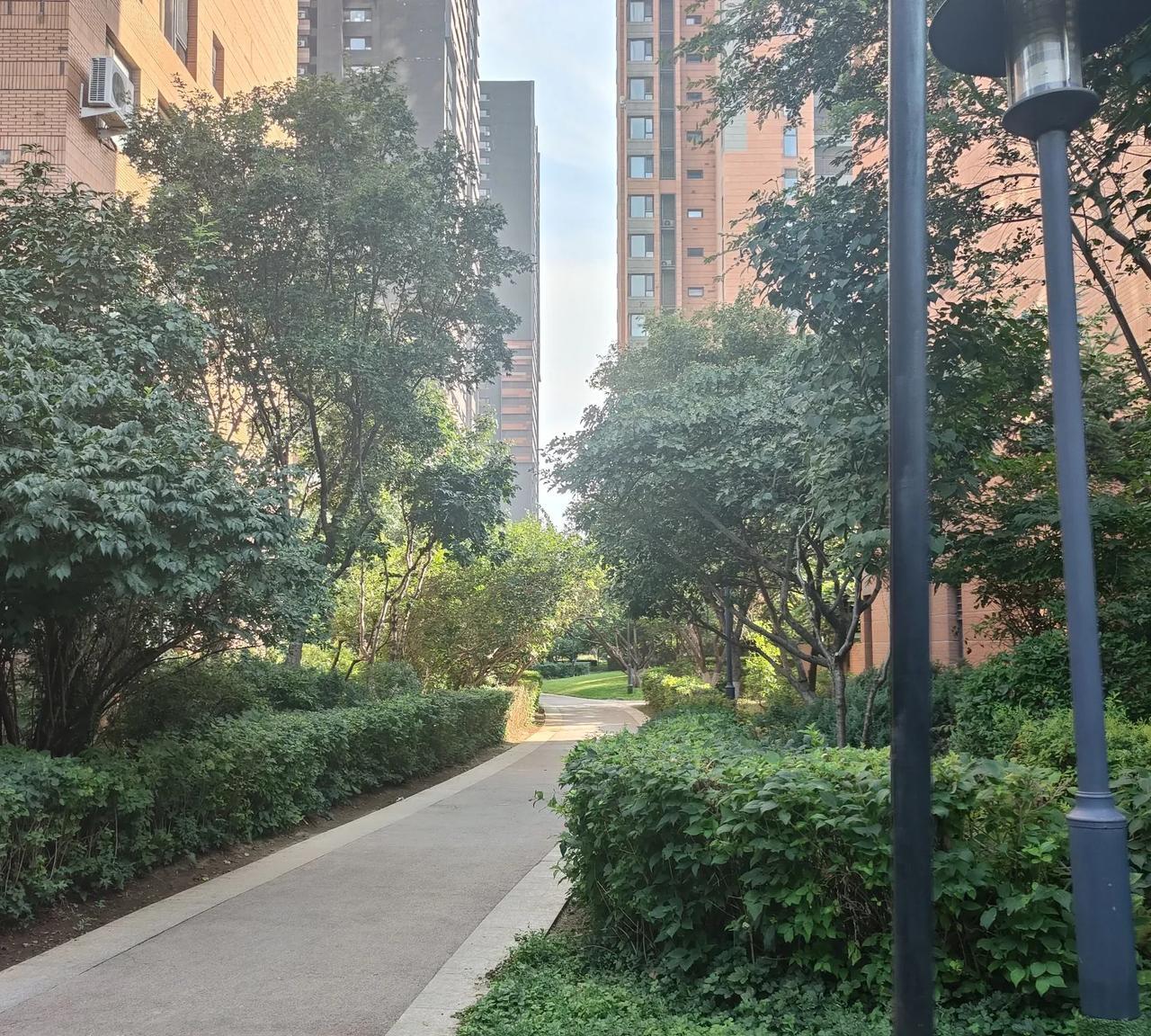 同时，我也在思考一个问题。57岁了，还在辛苦的码字挣钱，而有多少退休的女性，拿着
