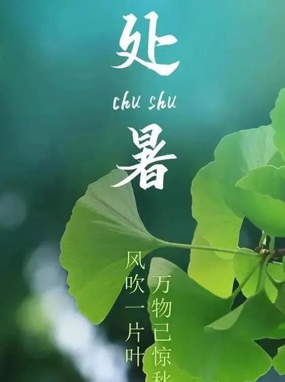 处暑（原创）
秋风急雨催，凉气枕边升
未觉春草梦，渐远蝉鸣声