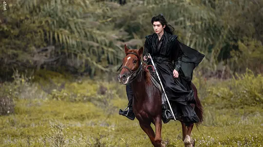   电影《暗河传》质感，制作精良，情节紧凑，文戏感人，武戏动作设计演员身姿飘逸干