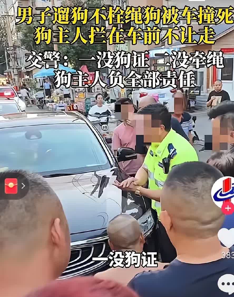 一觉醒来，遛狗不牵绳的慌了。

7月21日河北一男子遛狗不牵绳，任由狗在大街