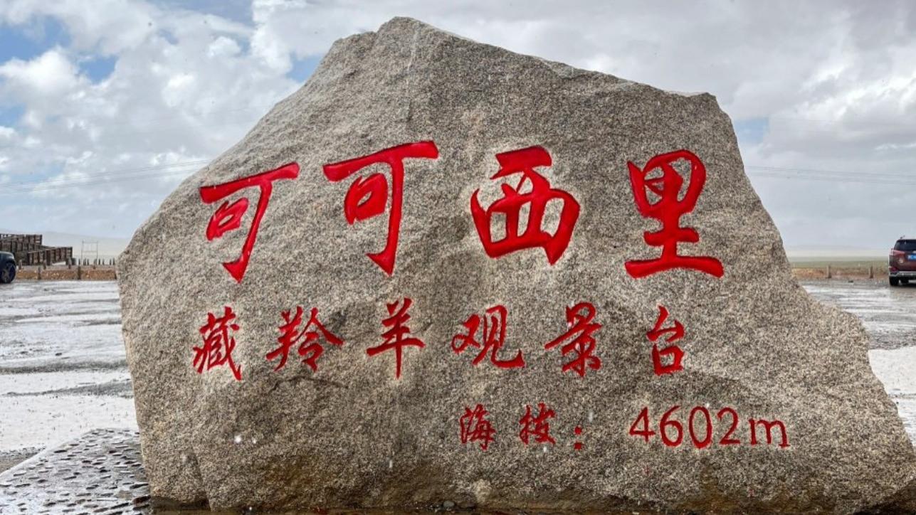 网友：可可西里能住人建工厂？揭秘真相