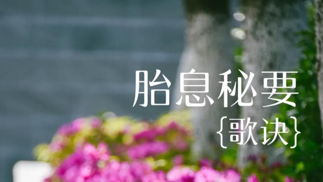 道家丹道《胎息秘要歌诀》