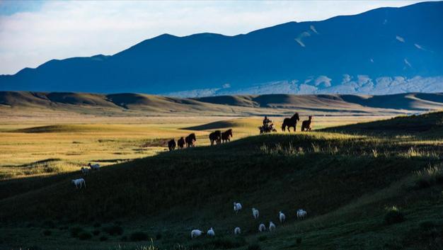 如果明天消失，你的存在能留下什么痕迹？