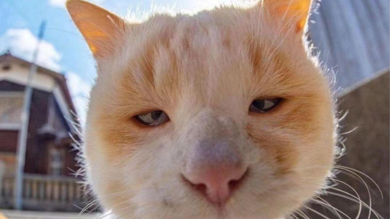 百度热点TOP10总结：春运收官余热未消，AI与民生热点双线领跑