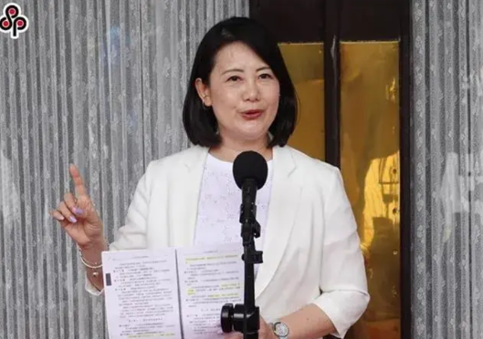 吴思瑶为赖清德辩解，遭批刻意扭曲事实
赖清德抛出两岸 “条件并购说” 后，在台湾