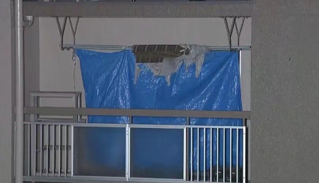 母亲死在家中厕所10年变骷髅，日本男子：社恐，不敢报警！警方：房间内堆满垃圾，几
