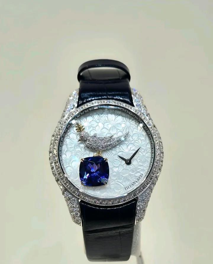 Tiffany(蒂芙尼)2025高级珠宝腕表展示，石上鸟系列，你们觉得哪块更适合