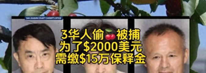 三个华人美国偷樱桃被抓罚款





我真是气炸了！想象一下，三个60多岁的华人