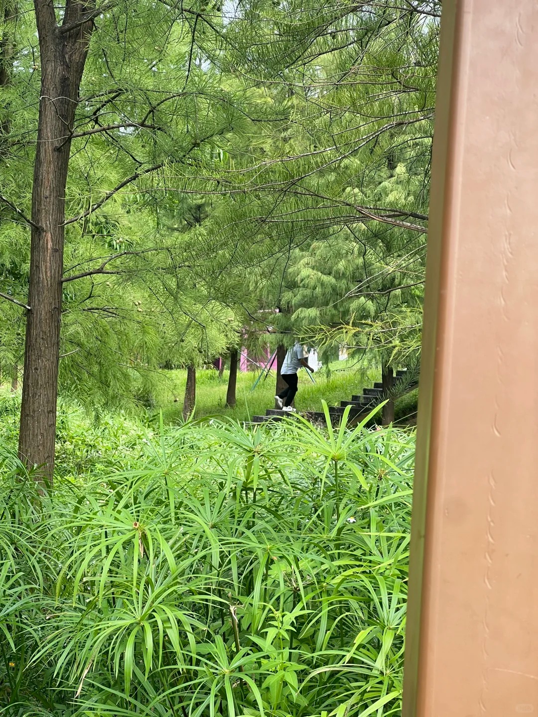 天河大观湿地公园有暴露狂！