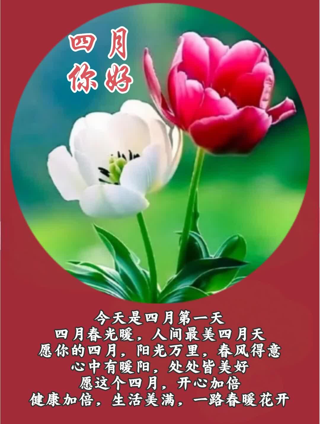 晨语：四月逐光，美好满盈
人间最美四月天，四月春光正暖。或许有人觉得美好的时光