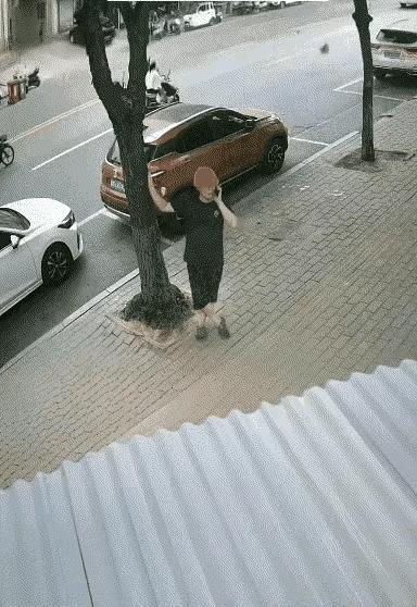 这棵树倒的太突然了，毫无迹象的就倒了，无论怎么看，都觉得有些不可思议，在此之前，