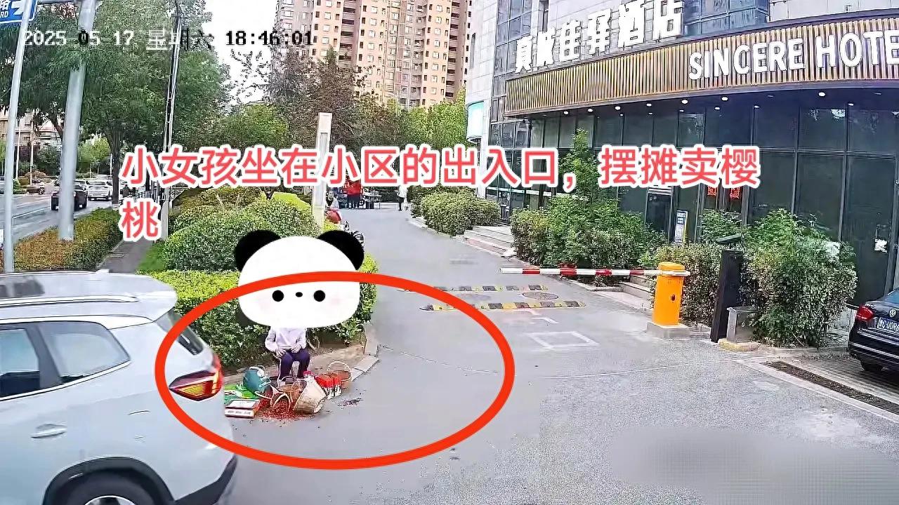 三筐樱桃引发的社会之痛：当车轮碾过的不只是水果，还有孩子的纯真