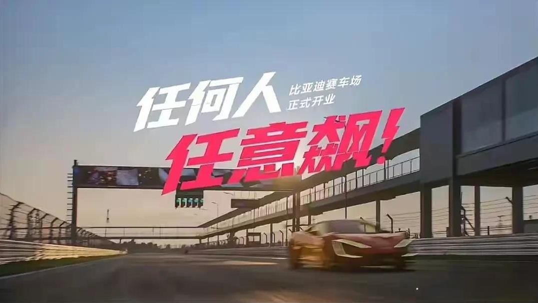 伤害性不大，侮辱性极强。
2025年1~7月狂卖249万部，已稳居新能源技术龙头