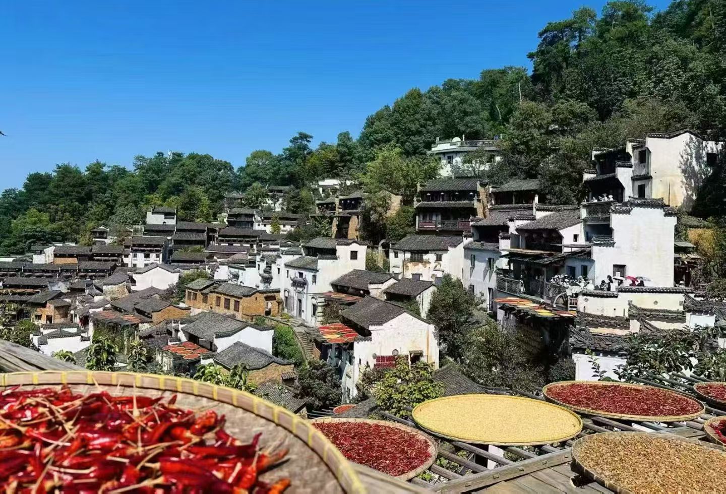 江西婺源旅游，篁岭 | 古村打卡攻略🌾