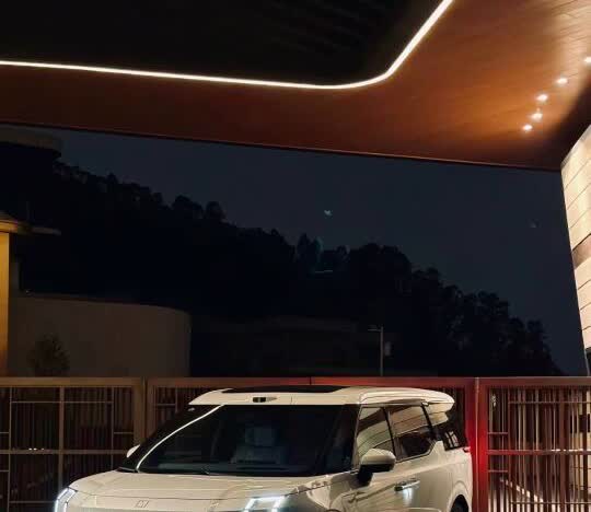 小红书上会有极氪009车主吗？
尊贵的极氪009车主会刷回复我吗