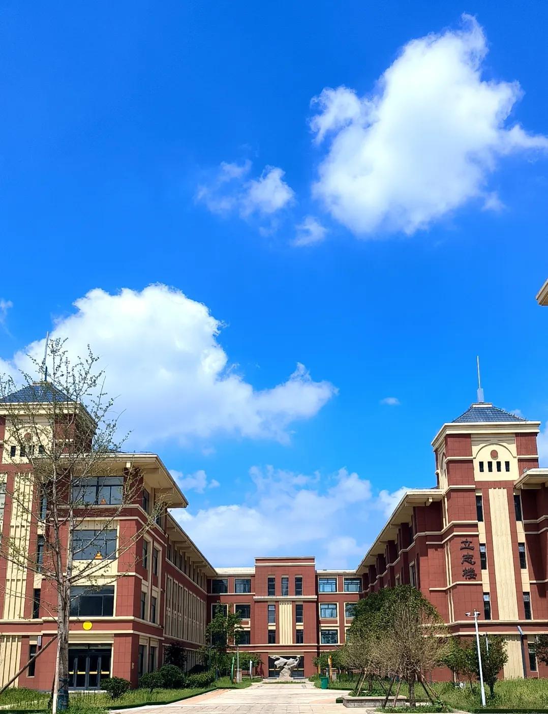 这几年参与学校建设，有很多苦衷，本不想说，说多了，显得格局小了，但是为了学校，为