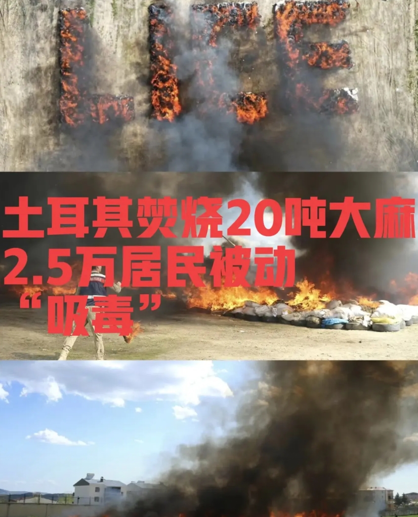 林则徐虎门销烟的含金量还在上升！

土耳其警方要处理20吨大麻，倒上226升柴油