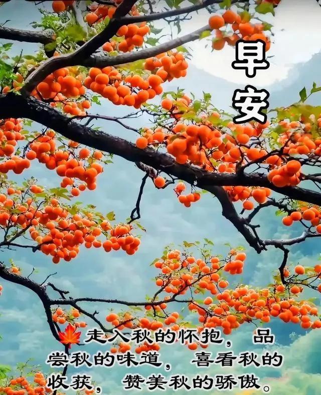 清晨梦醒鸟语香
庭院深深空气爽
旭日东升秋阳照
美好生活再起航
问候声声心舒畅