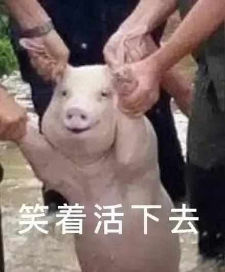 有时候真得需要点阿Q精神，能够麻痹自己，再多艰难困苦，依旧充满韧性选择励志向上，