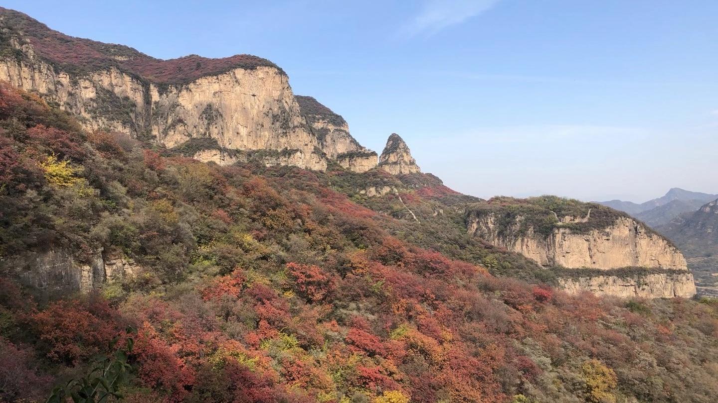 十首特别有趣的小诗，你能忍笑到第几首？