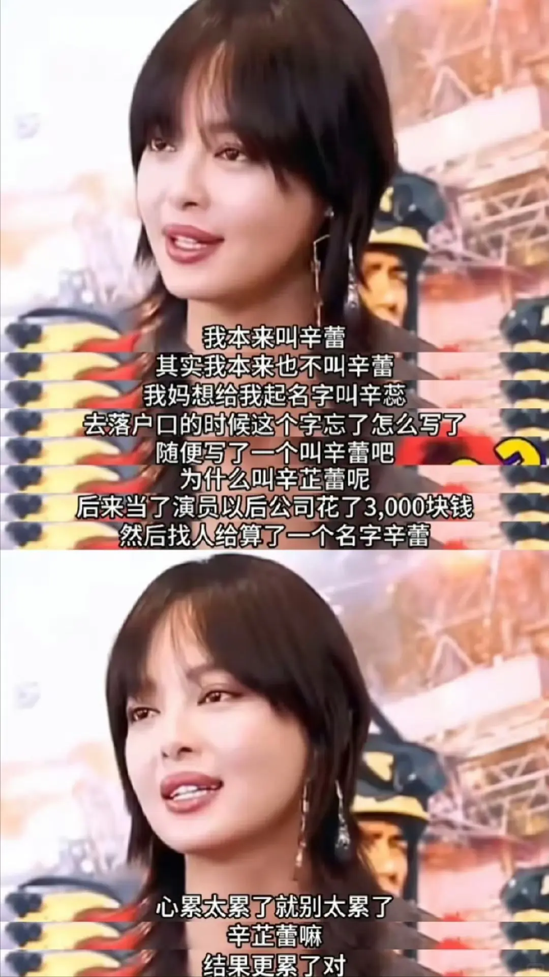 辛芷蕾公司这3000块钱花得值！