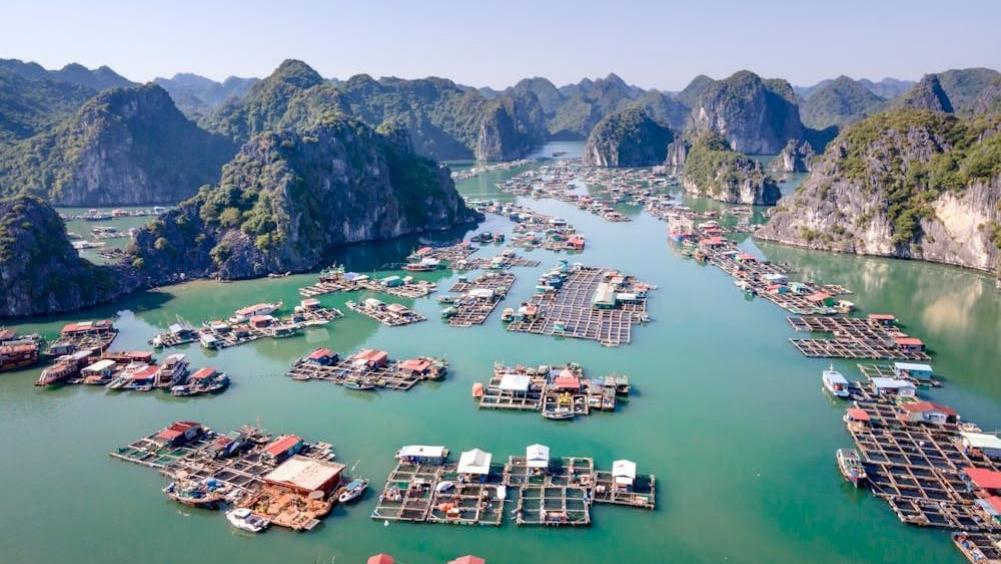 舌尖与视觉的碧海之旅：品味越南十座岛屿的鱼露风味与琉璃海景