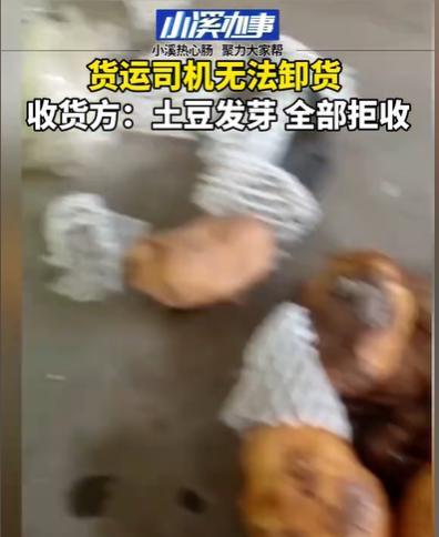 山东，司机运了一车土豆到达目的地，收货方一看，有的土豆发芽了，他马上拒收，司机联