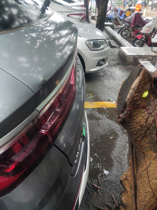 请问各位车友这样有必要报保险吗
倒车怼树上了，盲区没看到，这样有必要报保险吗？外