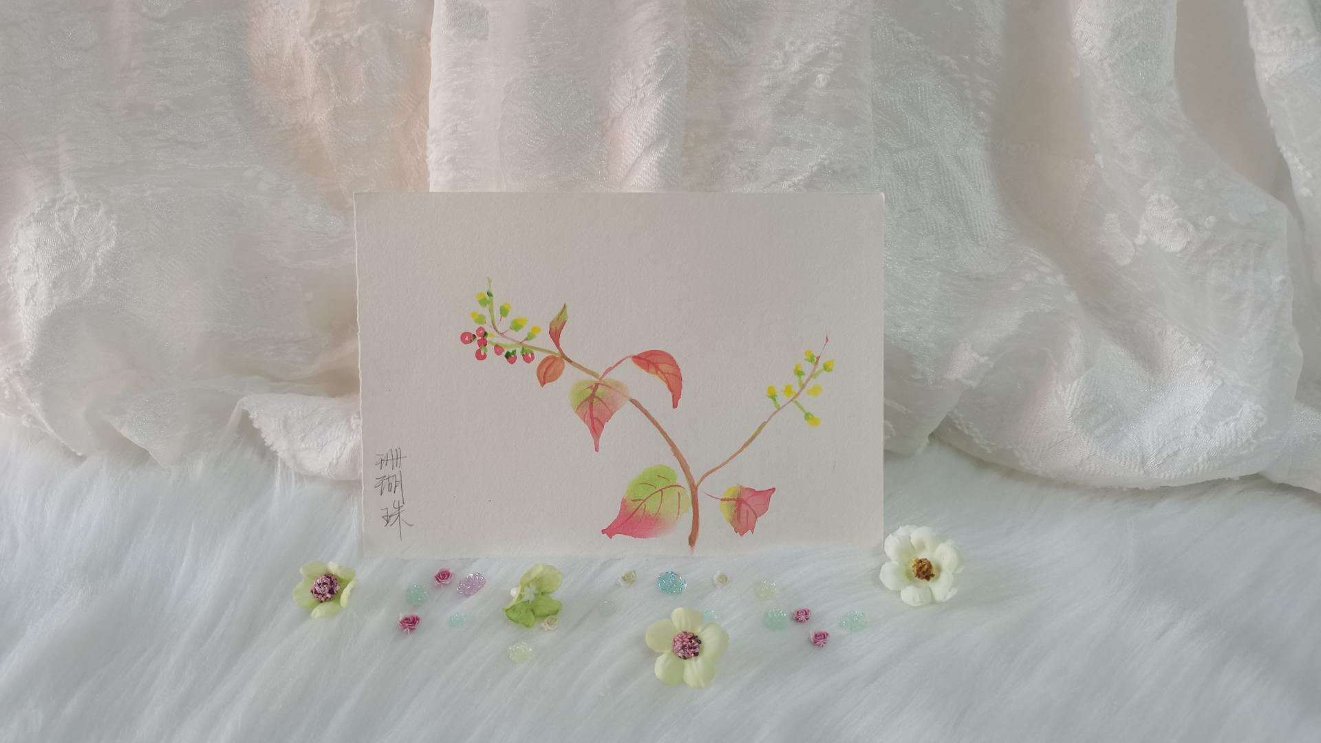 39 蕾芬珊瑚（绘画 | 水彩 | 果花甘05）