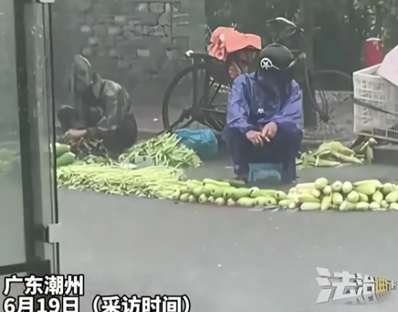 “替我全部买了”