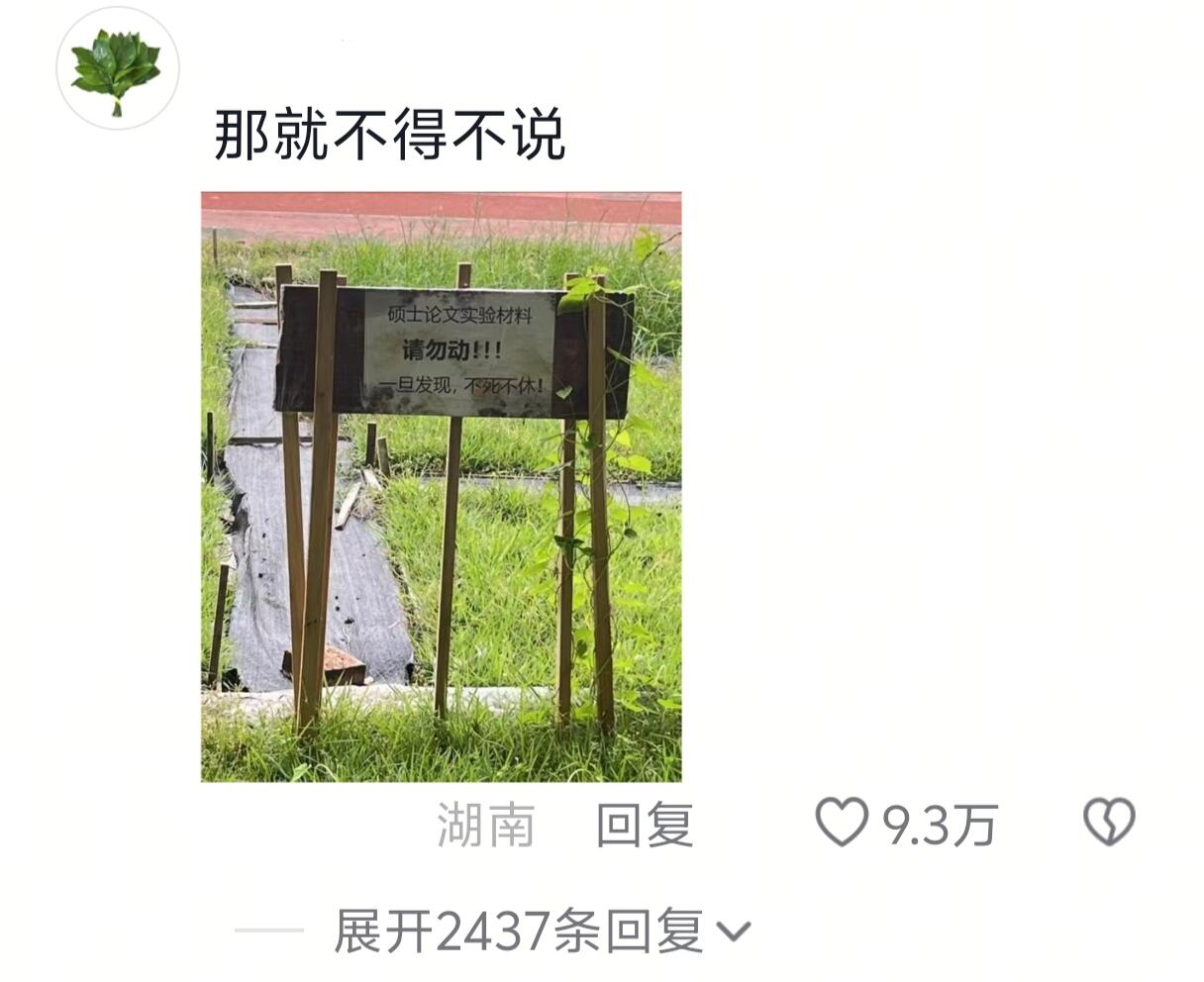 农学生：谁又在祸害我的论文