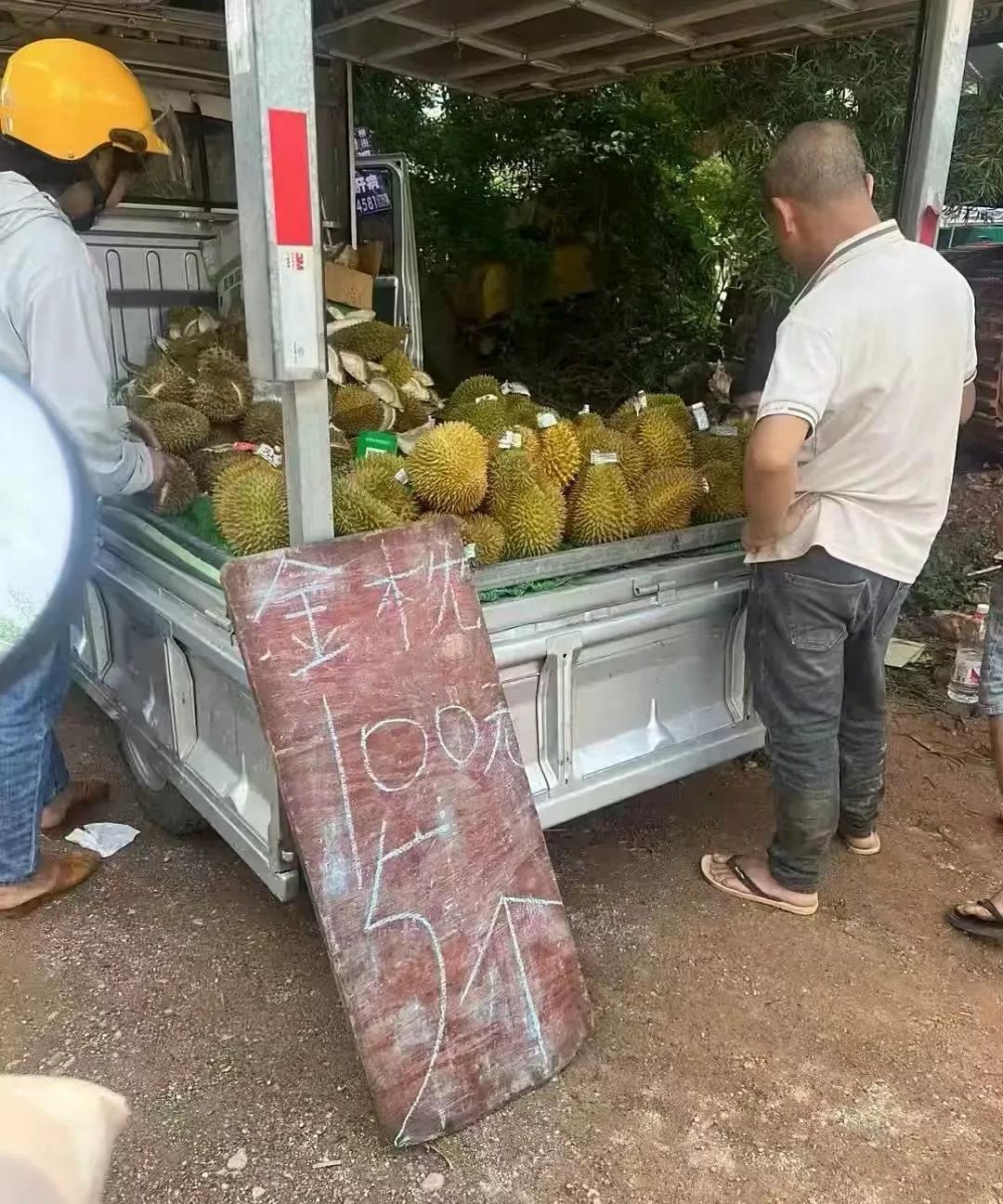 我不相信榴莲这么便宜[灵光一闪]
看网上说今年广西榴莲很便宜，
一百元5个，最贵