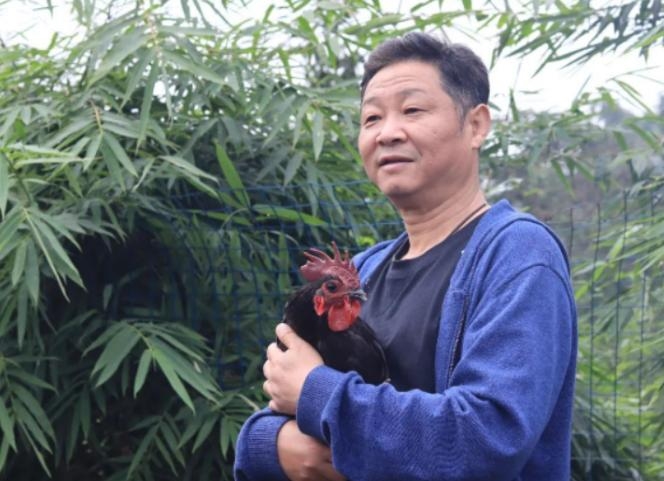 一次，主持人问赵亮以前跟张国立演戏的，现在怎么去养鸡了？赵亮说：一只鸡卖300元