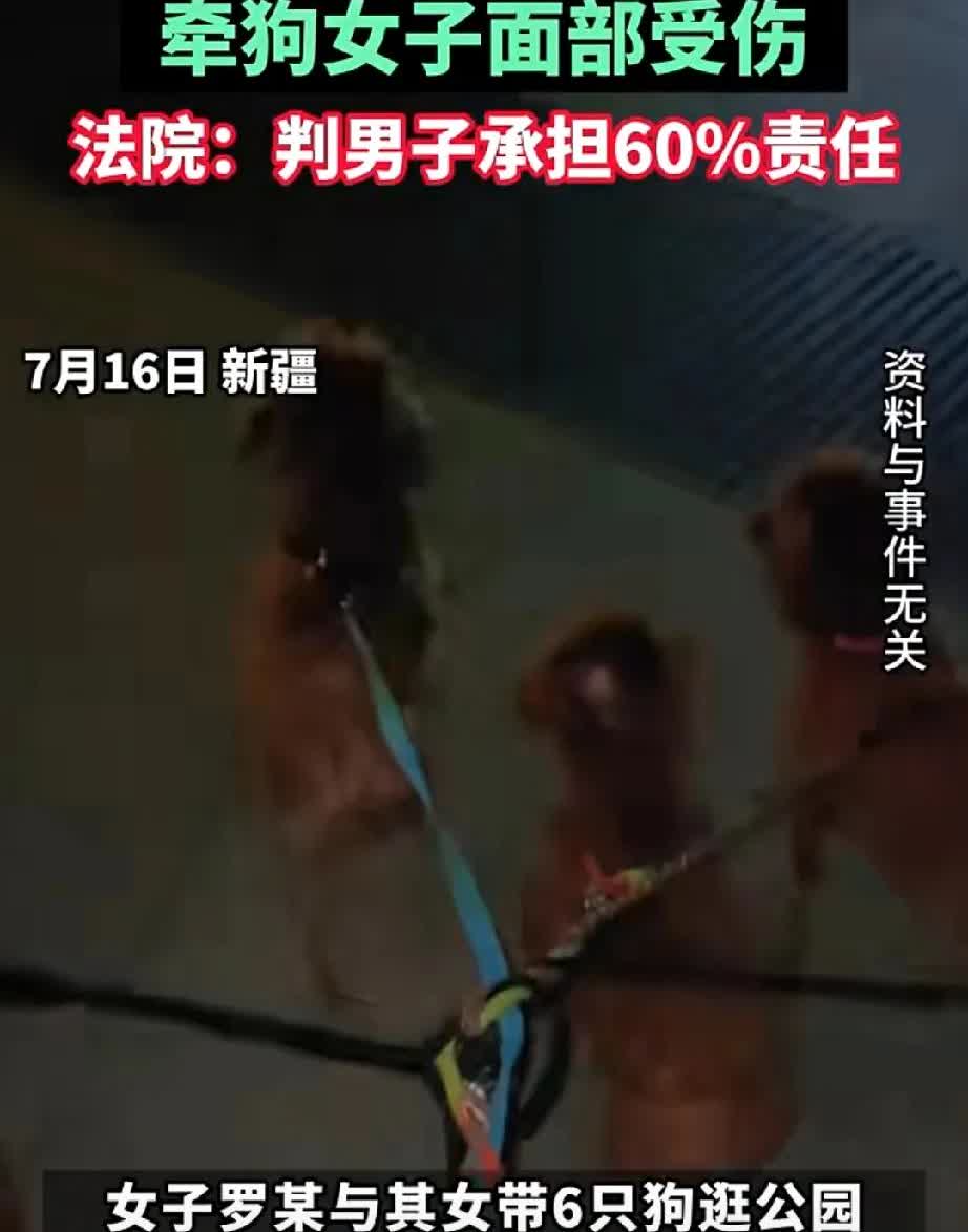 新疆某地，母女带六只狗逛公园，咬伤一名男子。
男子用石头打狗引发争执，继而殴打