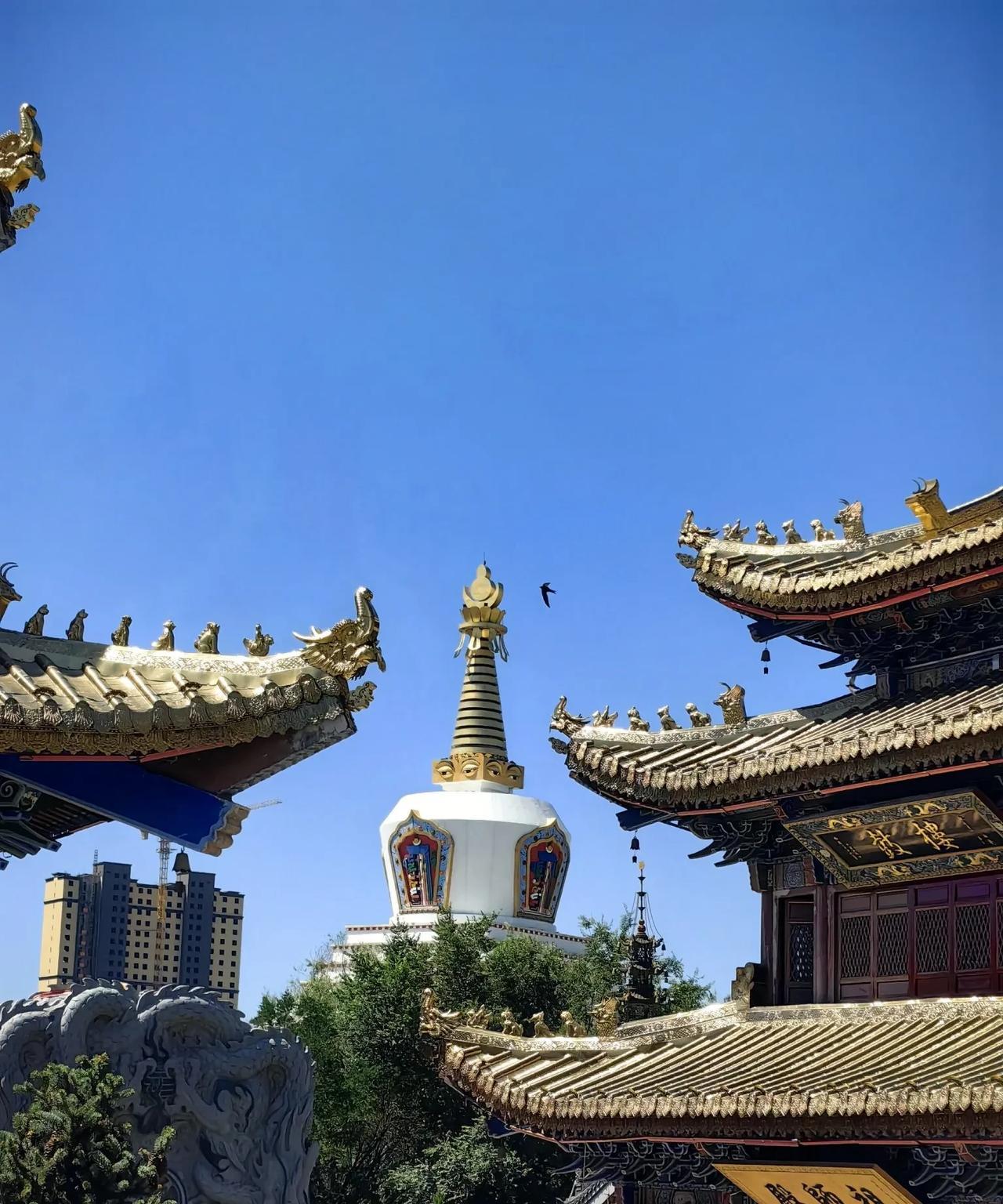 退休生活：结束旅行，晒晒我拍的照片。
上周四，我和妹妹继续逛呼市的各个寺庙，寺庙