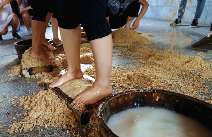 白酒酒曲竟用脚踩？45℃高温踩出绵柔甜香，法国红酒也这么玩！