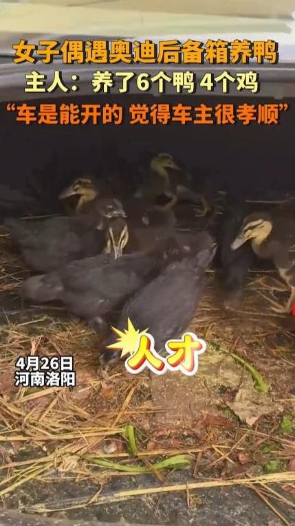 “这么孝顺太难得了！”4月26日，河南洛阳，一女子出门遛弯时，意外发现村里一辆停