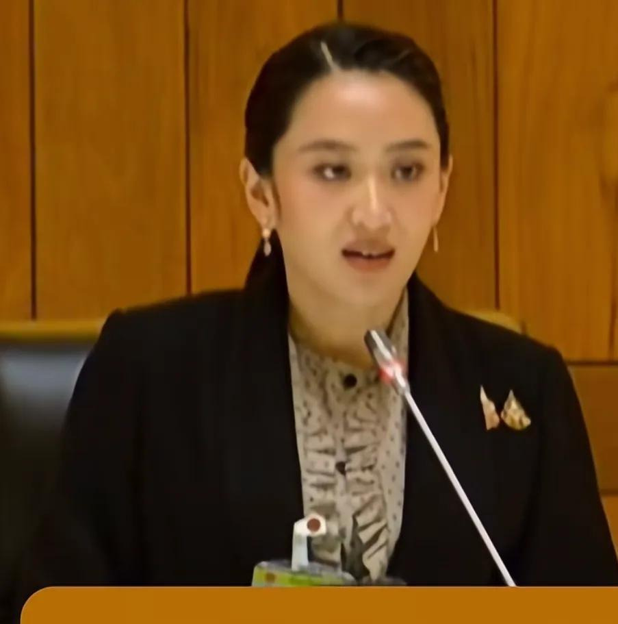泰国总理佩通坦不信任投票过关











天呐！泰国政坛要变天？别紧张