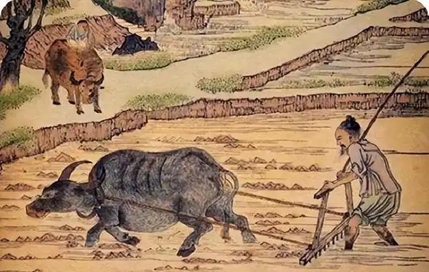 “我国古代没有牛，牛是建国后从美国引进的，它的原型是美国野牛”，这个说法一出，立
