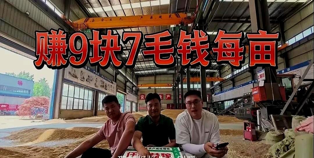 三个85后青年种了2800亩小麦，打了274万斤麦子，每亩能赚多少钱？
算完账我