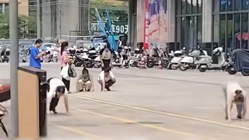 广东惠州街头多人爬行学狗叫，社区回应，网友呼吁必须严查