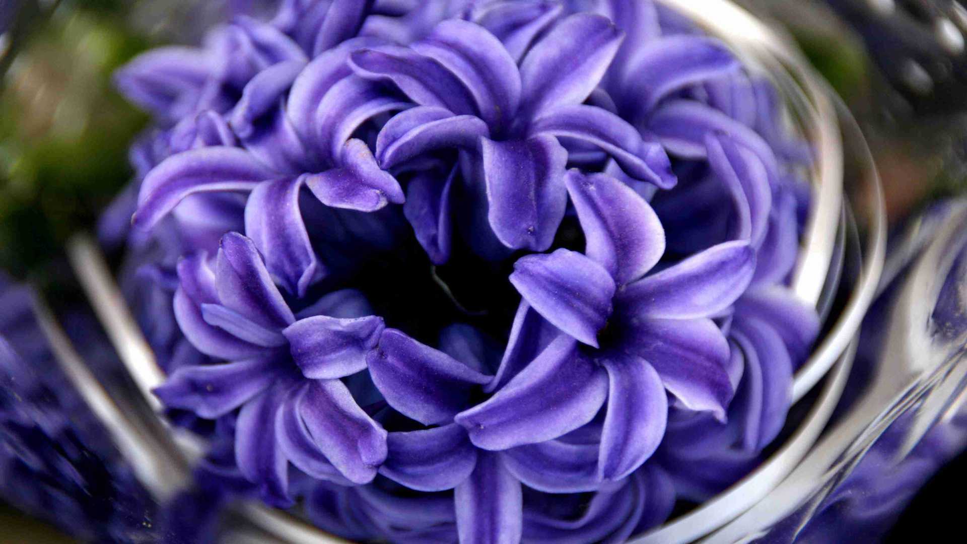 宿舍养花防查寝指南！床底收纳+免插电绿植，查房前30秒藏好