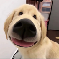 小满的生活日记