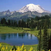 生态农业周玲伍俊豪